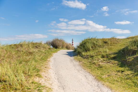 Dünen | Boomhiemke