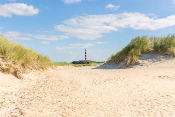 Dünen | Boomhiemke