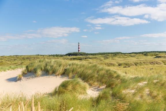 Die schönsten Gebiete der Insel lassen sich am besten auf dem Fahrrad oder zu Fuß erkunden | Boomhiemke